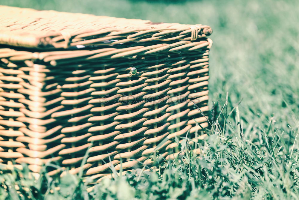 Similar – Picnic Basket Hamper With Leather Handle In Green Grass