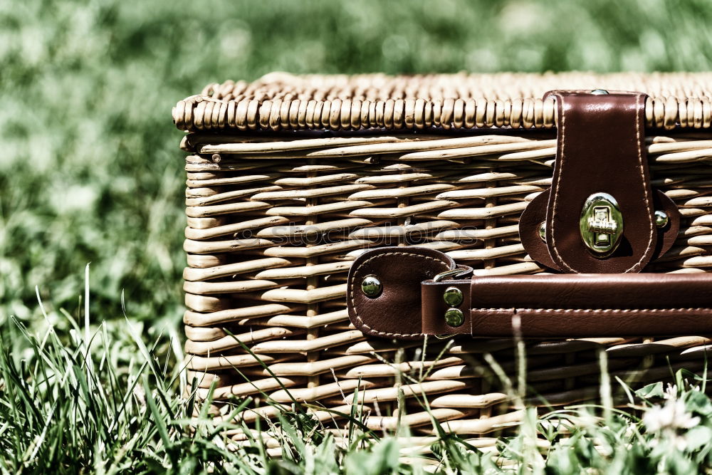 Similar – Picnic Basket Hamper With Leather Handle In Green Grass