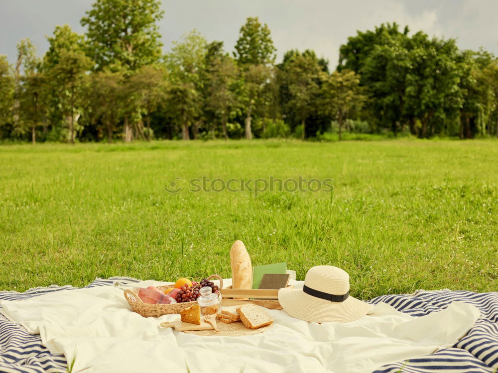 Similar – Image, Stock Photo Picnic in the sun Happy