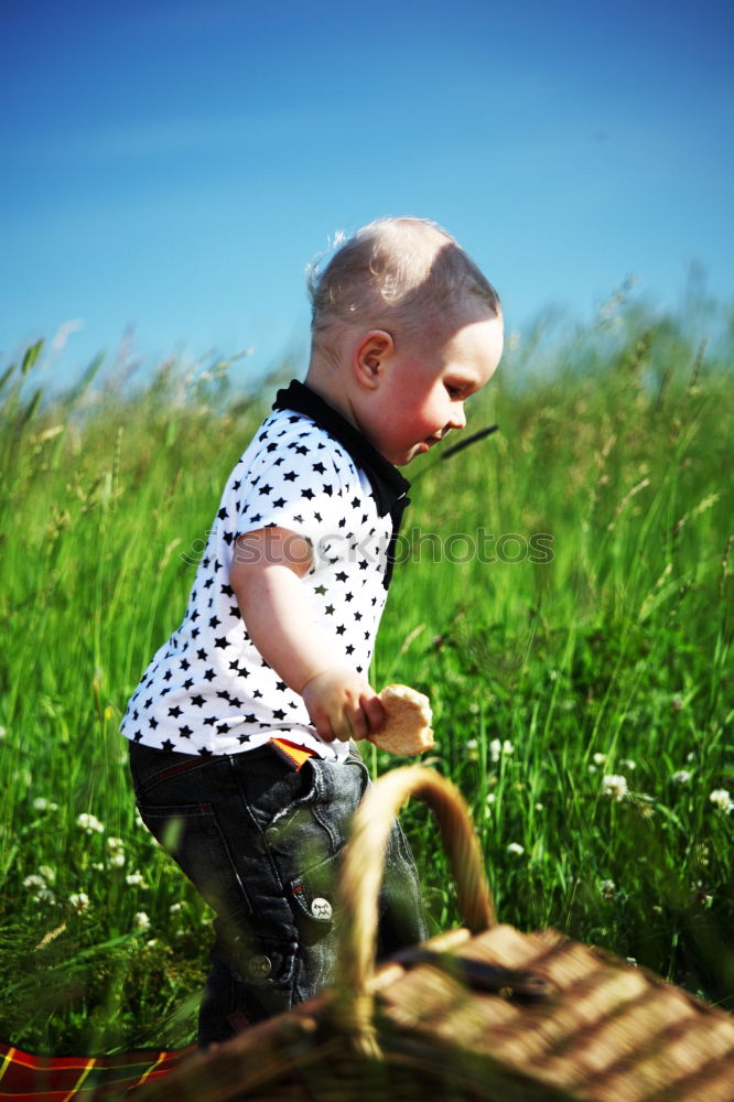 Similar – Child playing with toy tractor on meadow