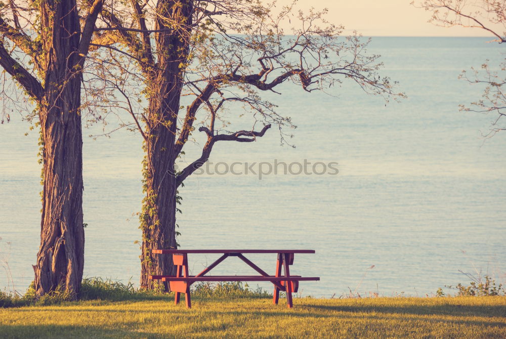 Similar – Rear view of a woman sitting on a wooden bench and looking at a lake