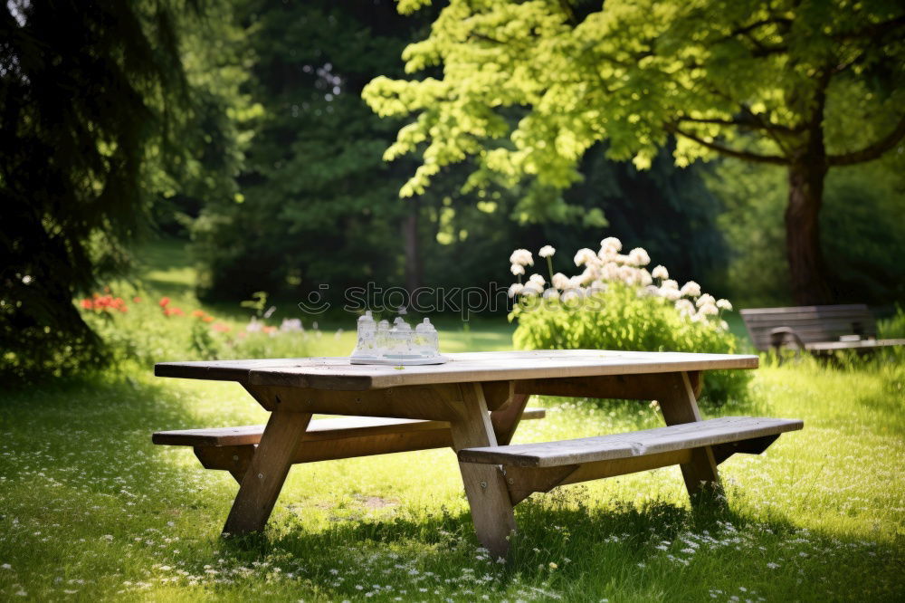 Similar – Image, Stock Photo ParkBank Park bench