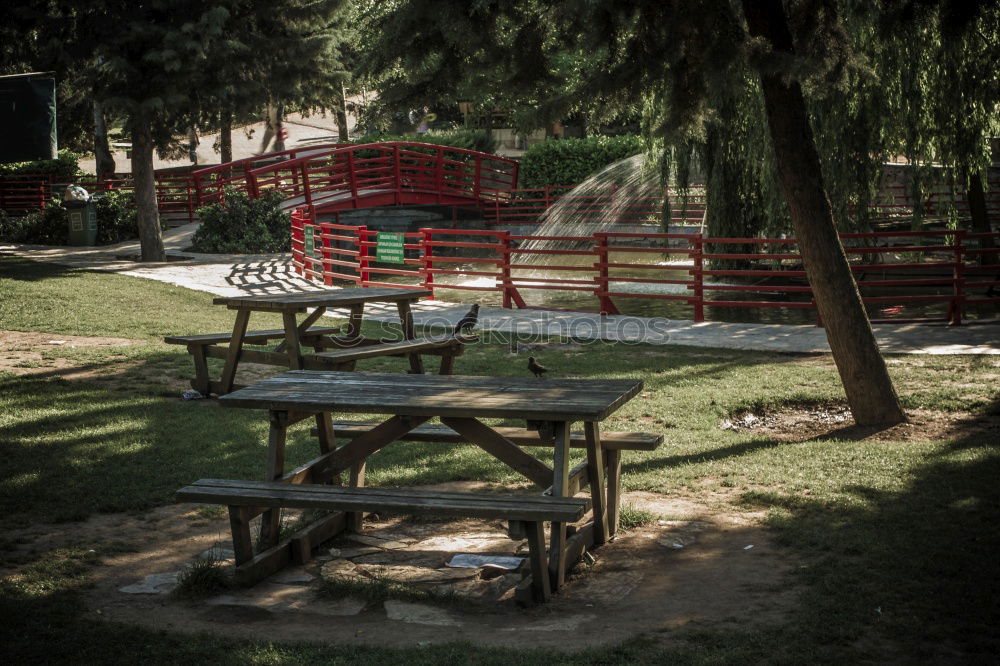 Similar – Leerer, geschlossener Biergarten mit schöner Aussicht und Baum.