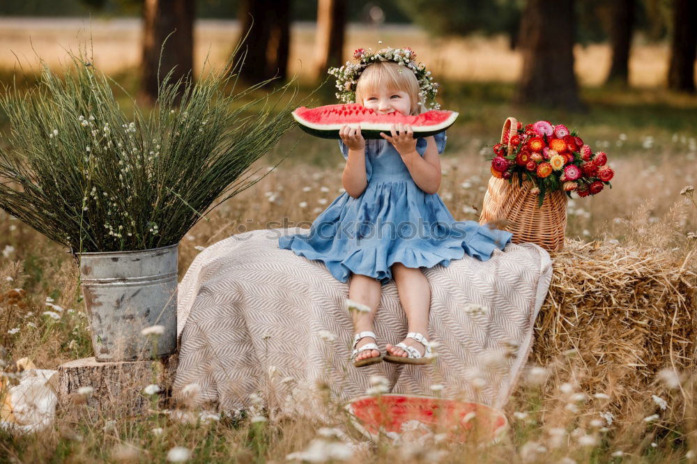 Similar – Image, Stock Photo cheerful to cloudy