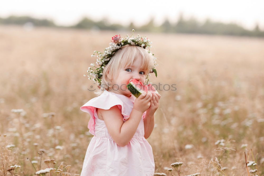 Similar – Image, Stock Photo Summer Feeling