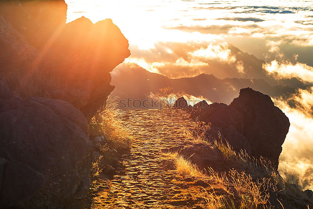 Similar – Sonnenaufgang am Teide_Teil 3