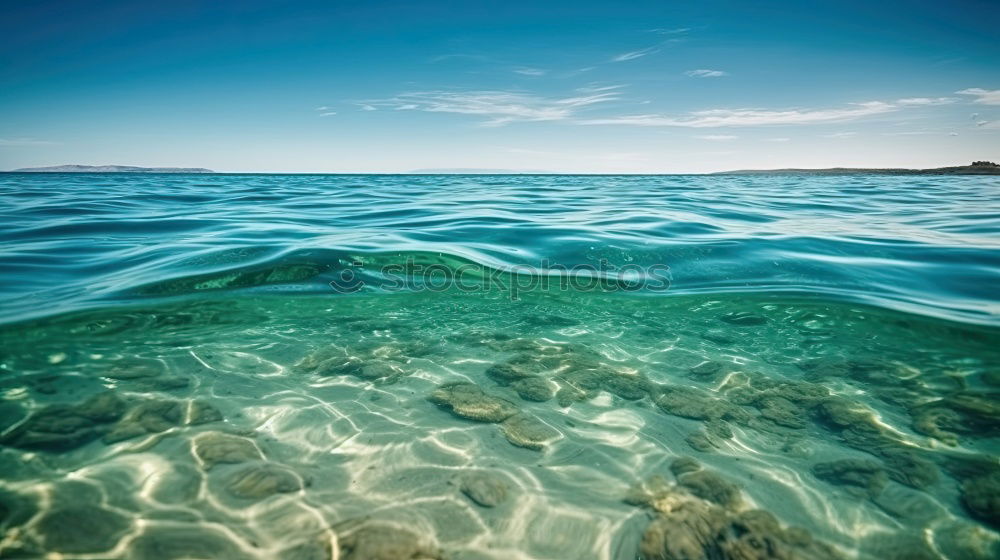 Similar – Image, Stock Photo pebbly beach Nature