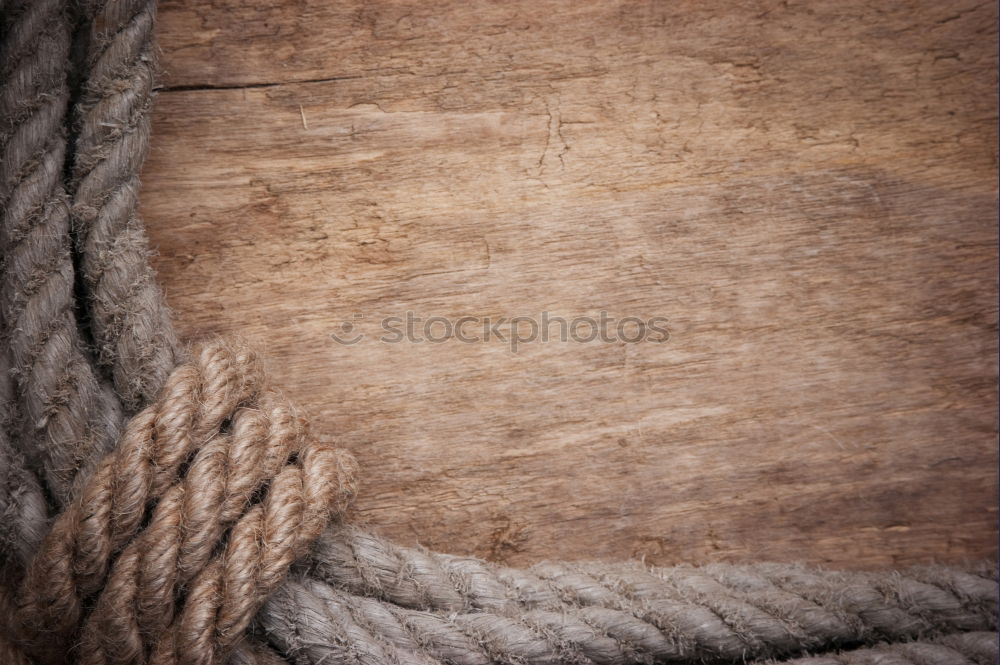 Similar – Image, Stock Photo Riding Stable Accessories Reins