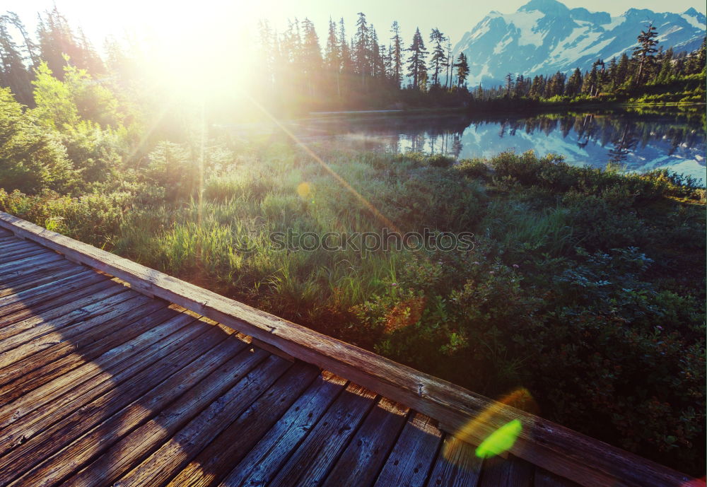 Similar – Image, Stock Photo … by the lake Pond Water