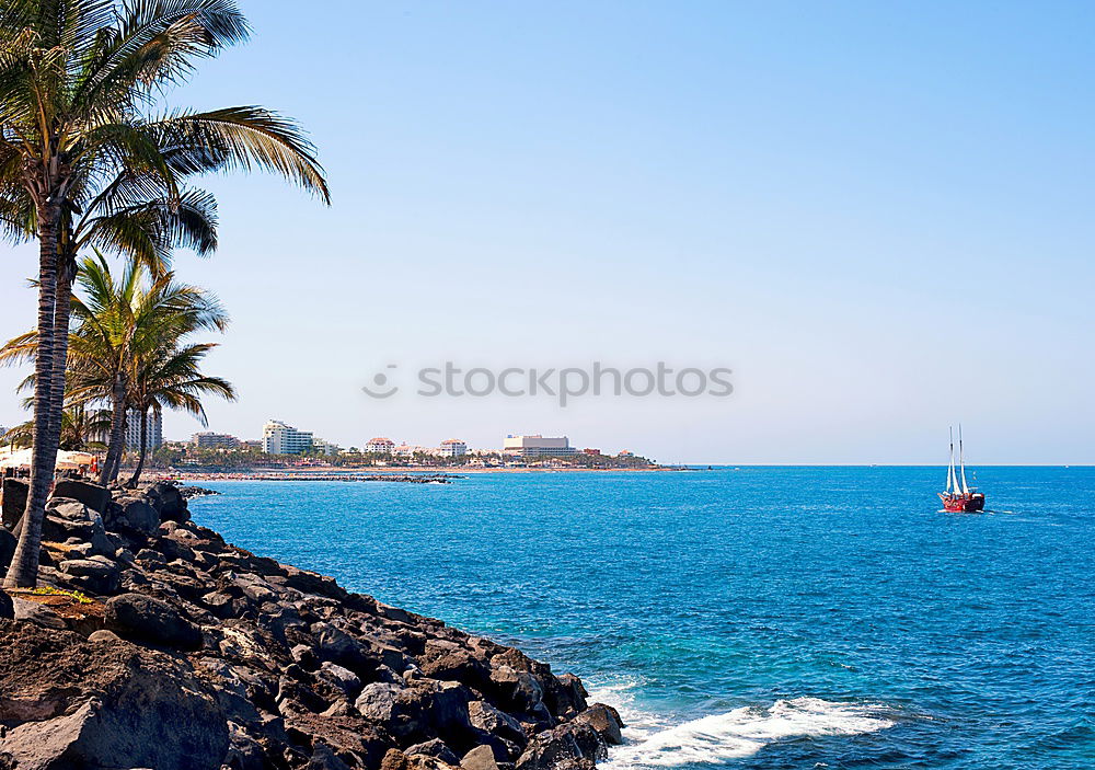 Similar – Scenic aerial view of city on ocean shore