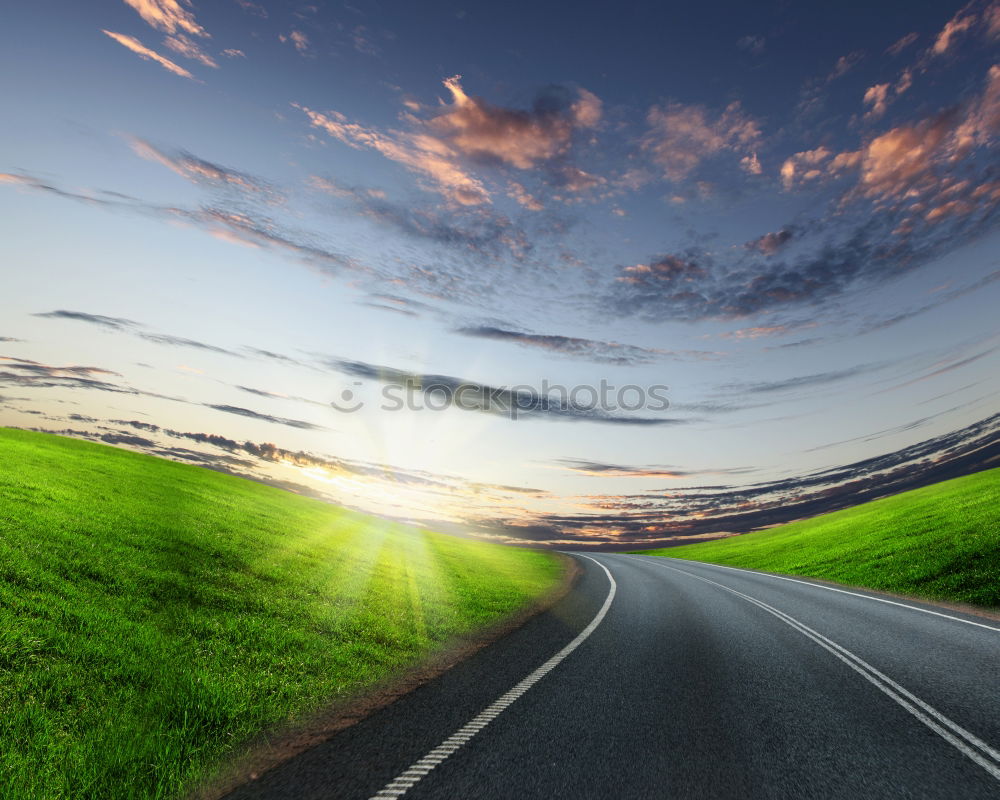 Similar – Image, Stock Photo Good morning NZ