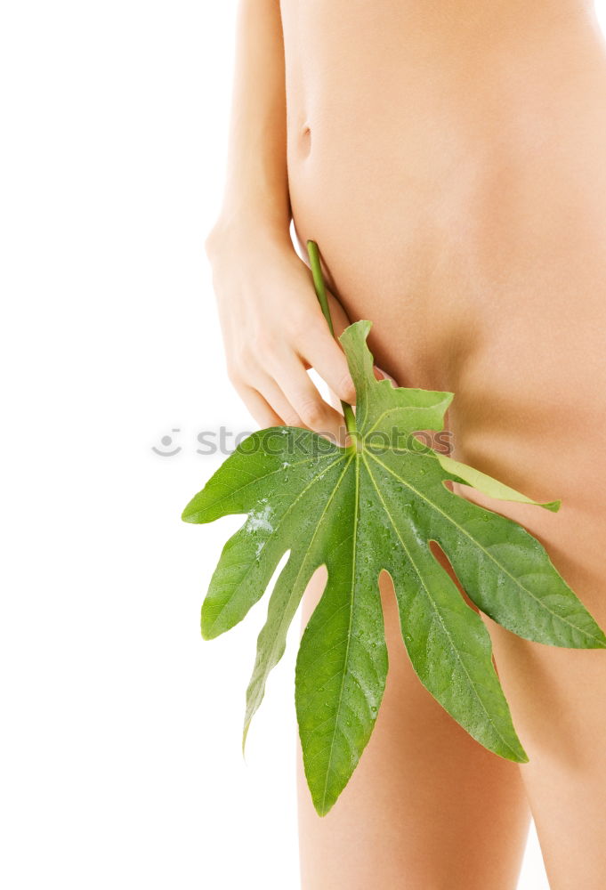 Similar – Image, Stock Photo milk bath shooting