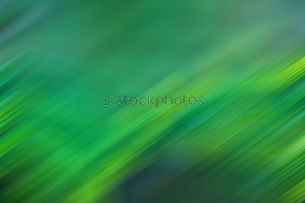 Similar – Image, Stock Photo green leaves texture Plant