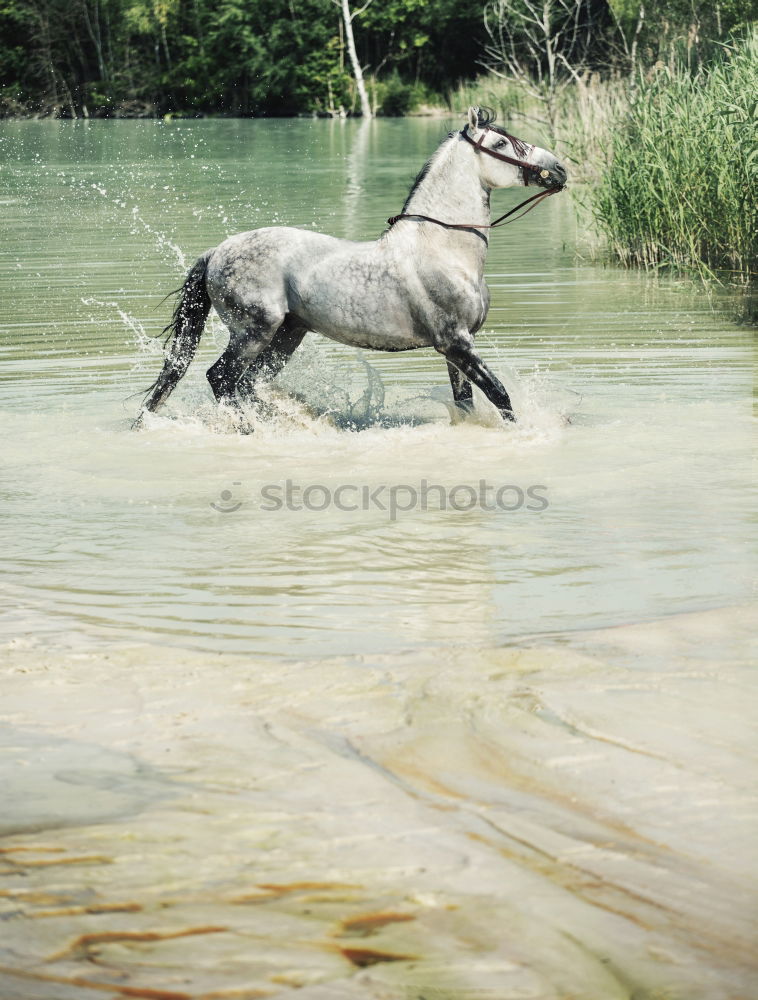 Similar – Foto Bild Aqua Aerobic I Farbfoto