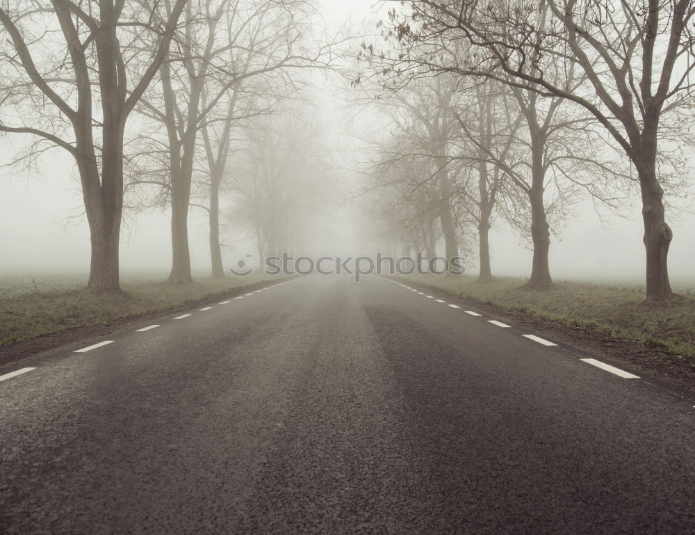 Similar – fog Fog Tree Horizon Field