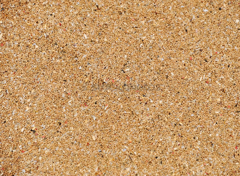 Similar – Image, Stock Photo Wallpaper with small stones of the beach