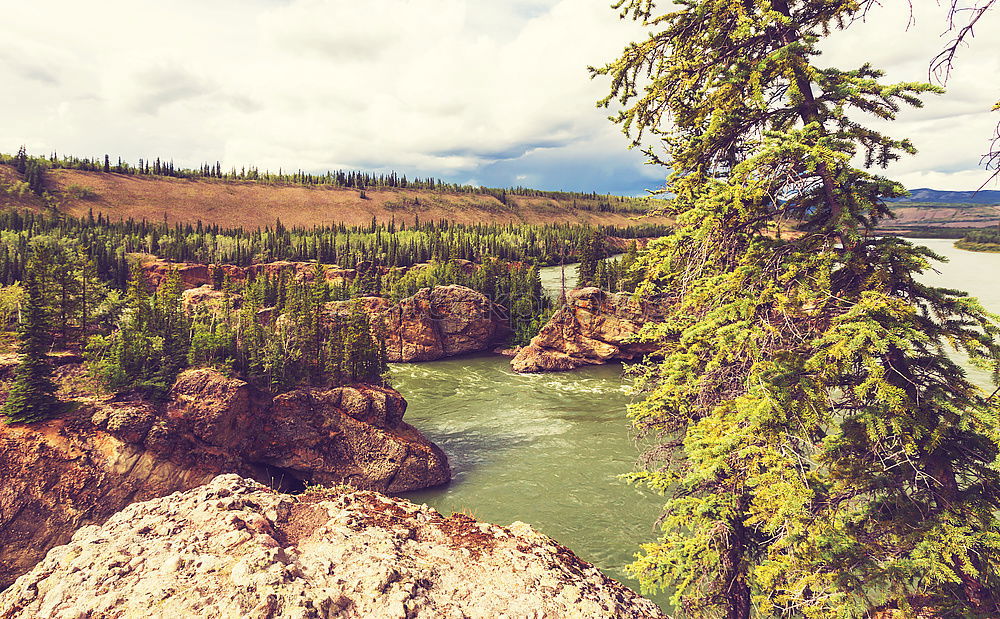 Similar – Image, Stock Photo Yukon Forest Rock