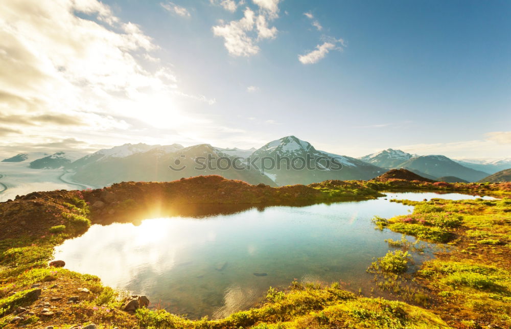 Similar – wildflowers on mountain near alpine lake, Allgau Alps, Germany