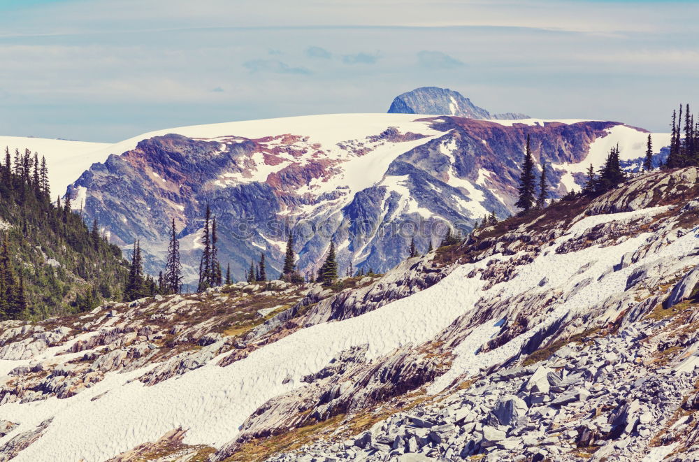 Similar – female hiker going up a mountain with snow.