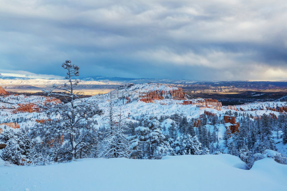 Similar – winter hike in the northern Black Forest on a sunny day