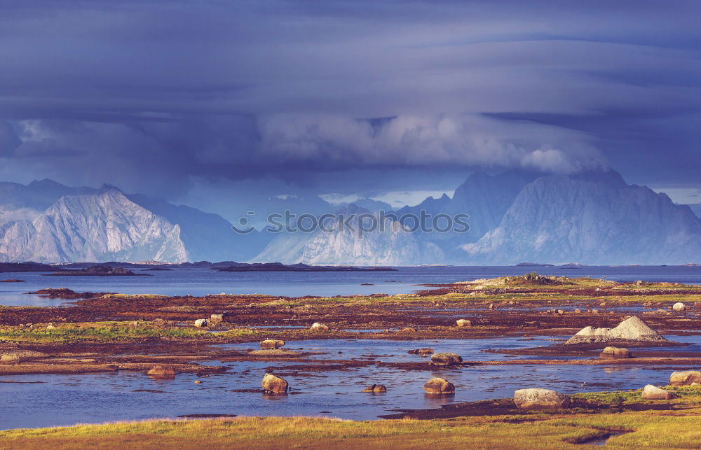 Similar – Image, Stock Photo Rendeer in arctic Eating