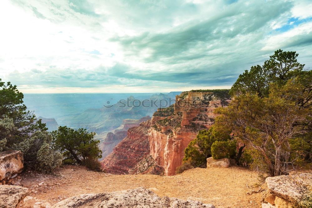 Similar – Image, Stock Photo Angels Window Wellness