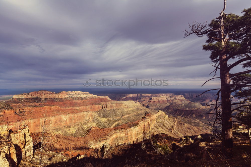 Similar – Foto Bild Der Canyon Grand Canyon