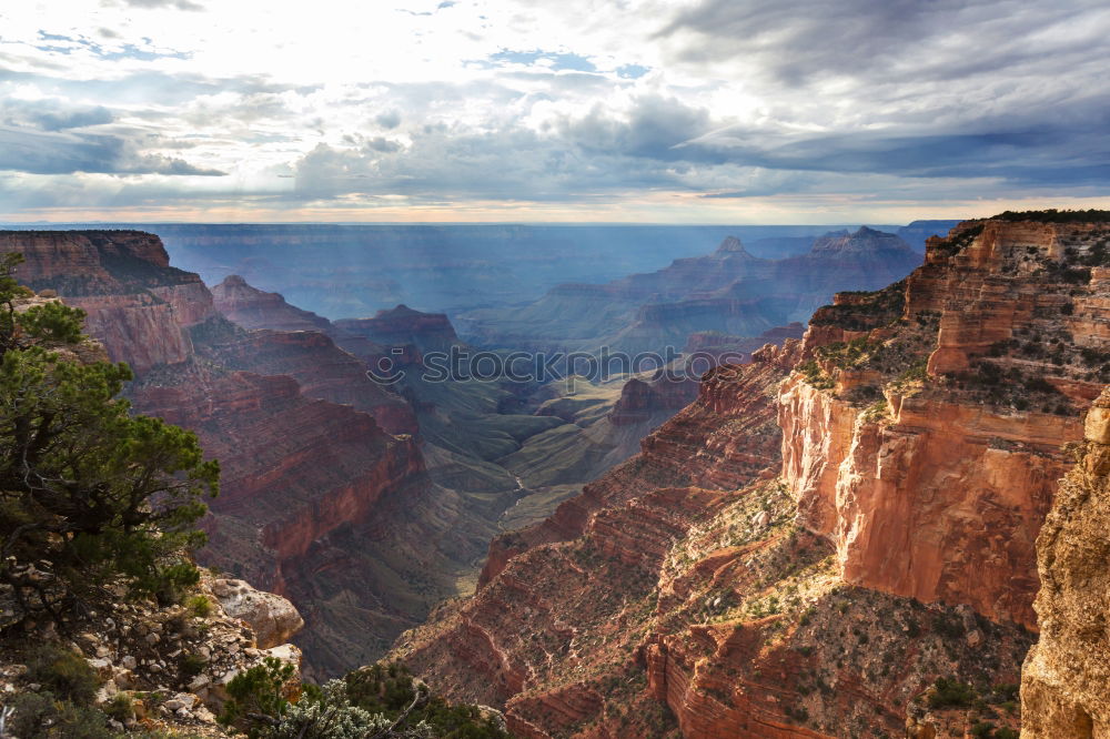 Similar – Foto Bild on the roCks! Umwelt Natur