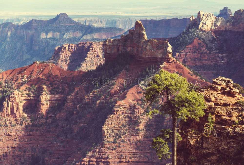 Similar – Image, Stock Photo Bryce Canyon Harmonious