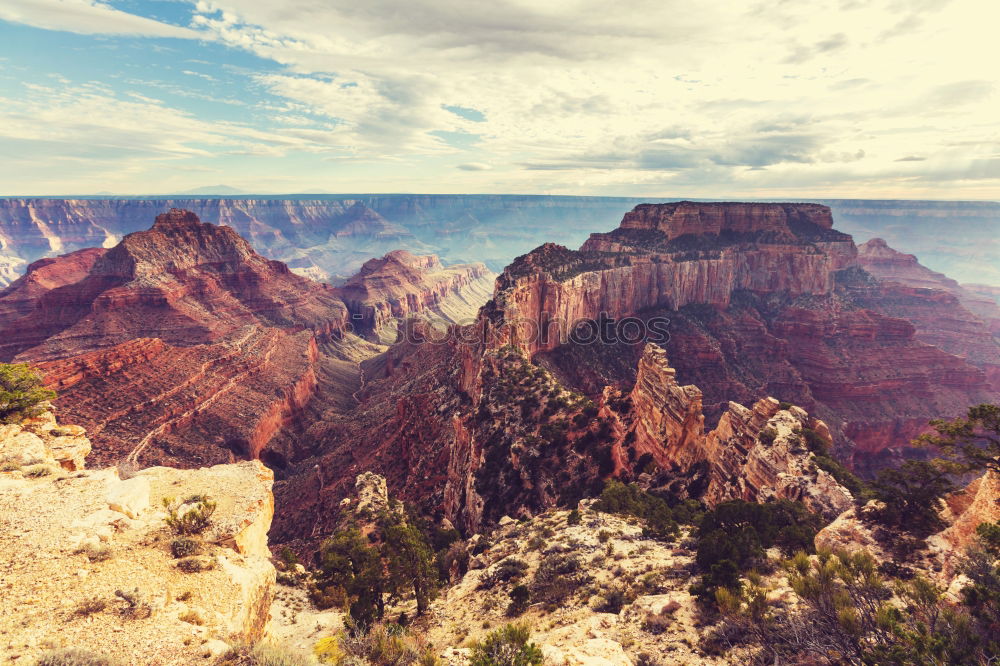 Similar – Image, Stock Photo Canyonlands Relaxation