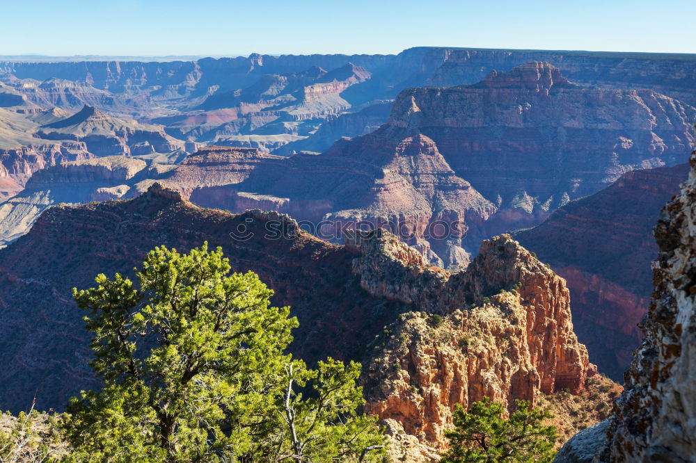 Similar – Foto Bild Der Canyon Grand Canyon