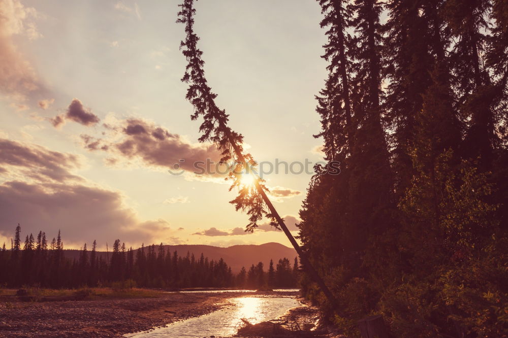 Similar – Image, Stock Photo River running between stones