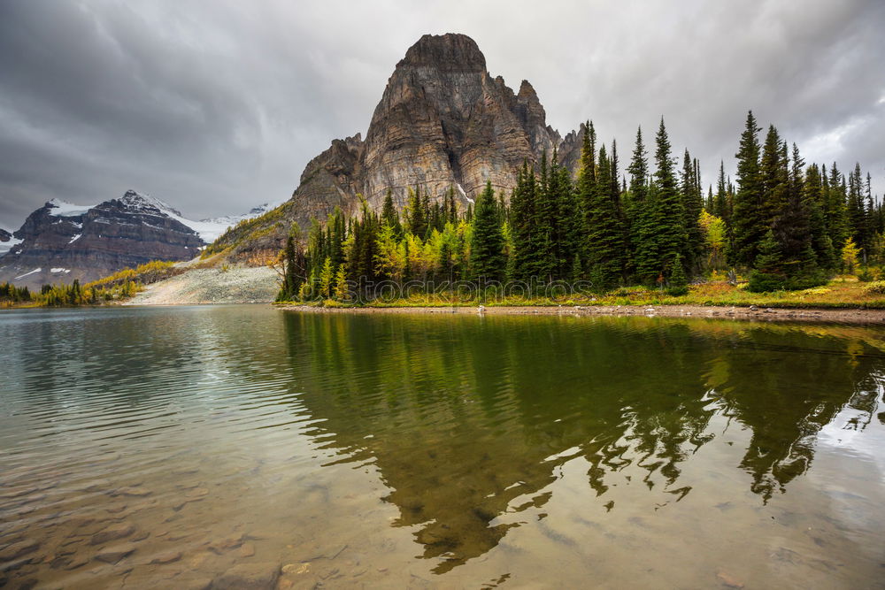 Similar – Image, Stock Photo Autumn at Mount Crowfoot