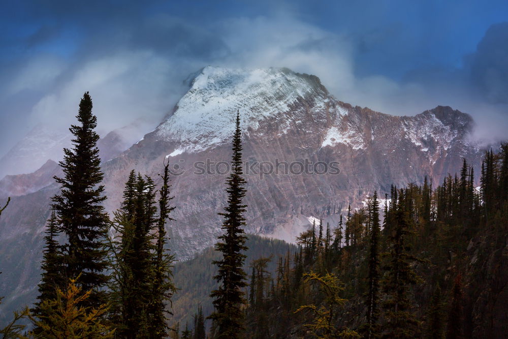 Similar – Autumn in the Rocky Mountains