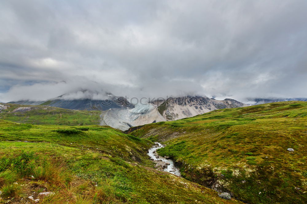 Similar – Image, Stock Photo dwarf birches Trip
