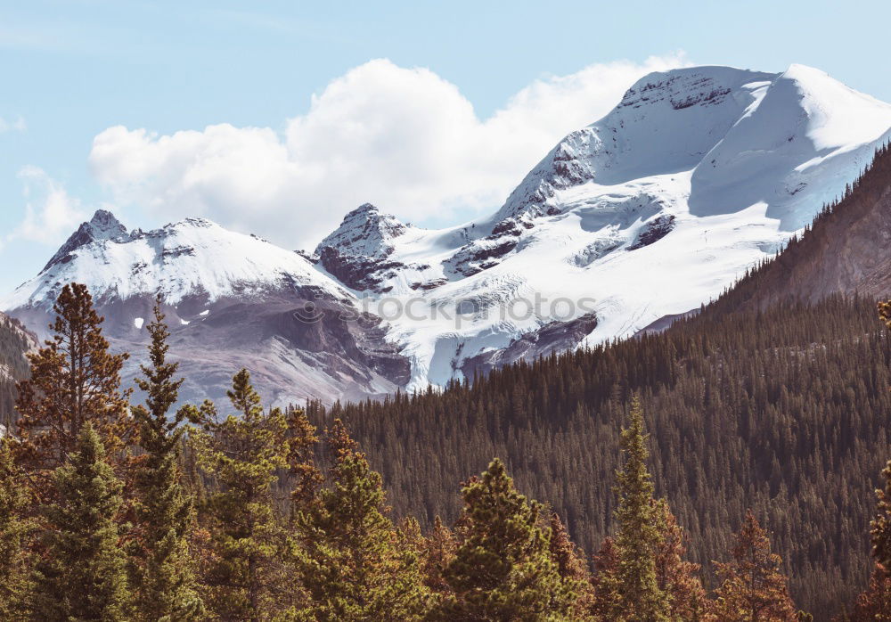 Similar – Icefields Parkway