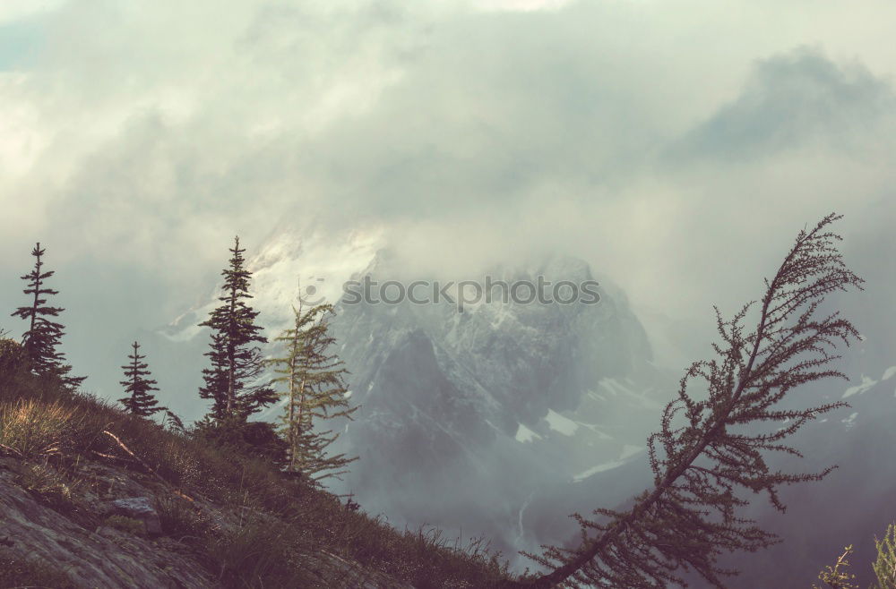 Image, Stock Photo climbing idyll