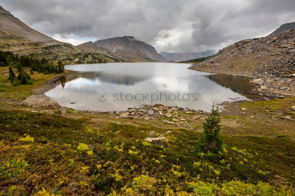 Similar – Image, Stock Photo Autumn at Mount Crowfoot