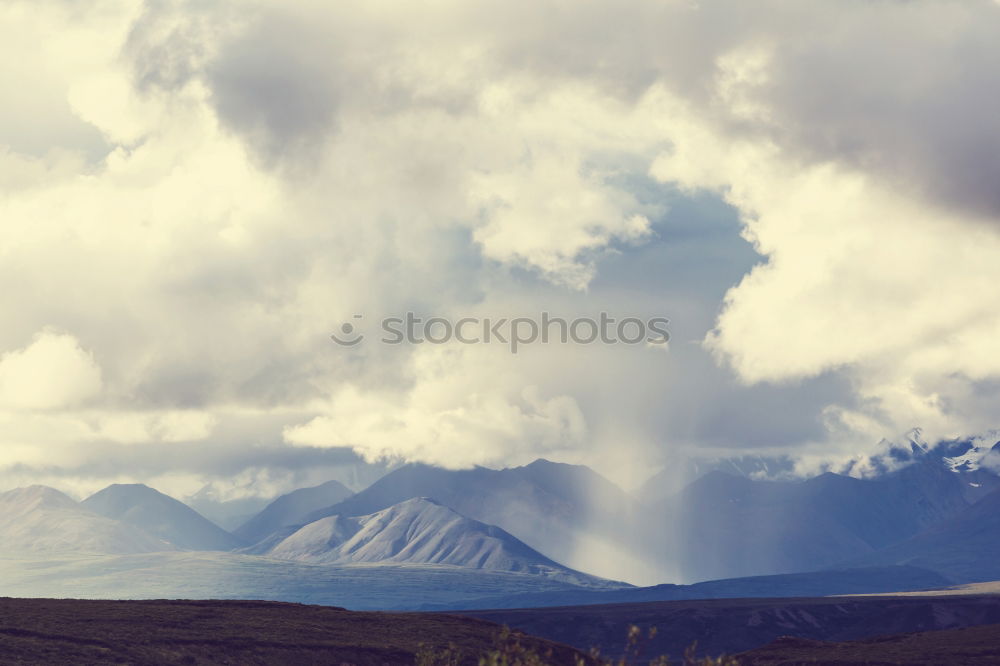 Similar – Image, Stock Photo dog seeks… Field Hill