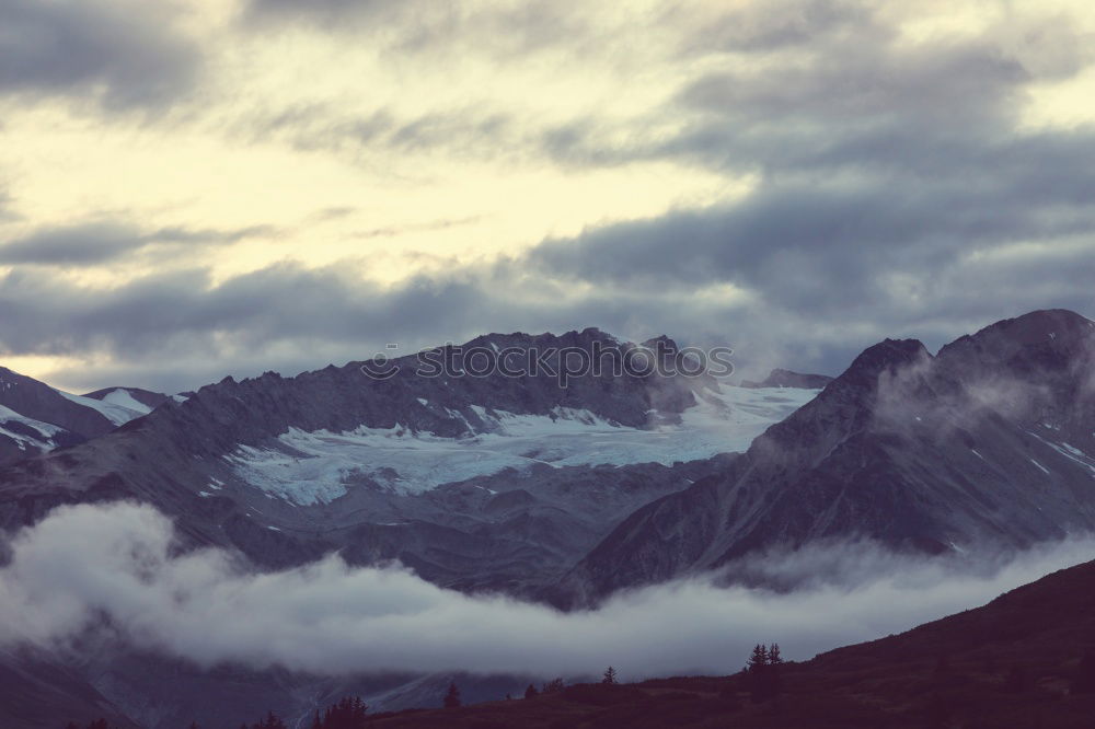 Similar – Image, Stock Photo Climate change II Winter