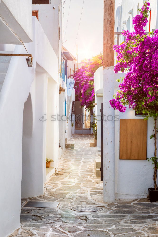 Similar – Image, Stock Photo Rural streets in Cadaques, Spain