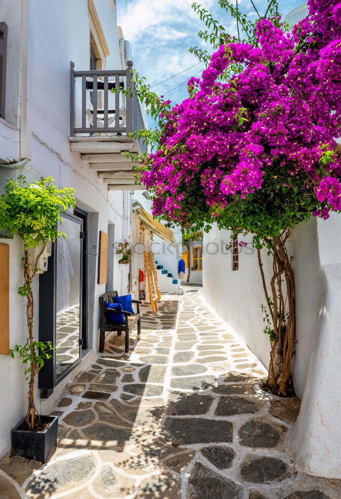 Similar – Image, Stock Photo Rural streets in Cadaques, Spain