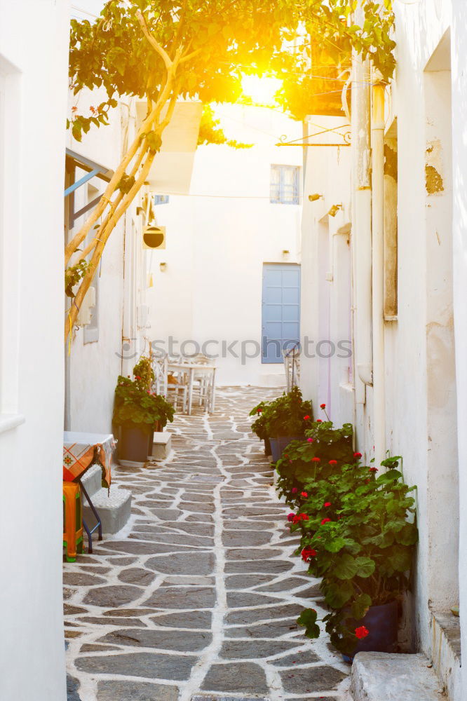 Similar – Image, Stock Photo Medieval village Monsaraz in Alentejo Portugal