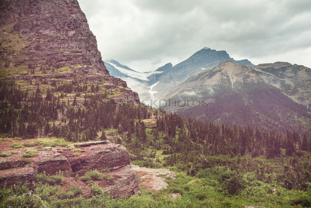 Similar – Image, Stock Photo Im am the King of the World