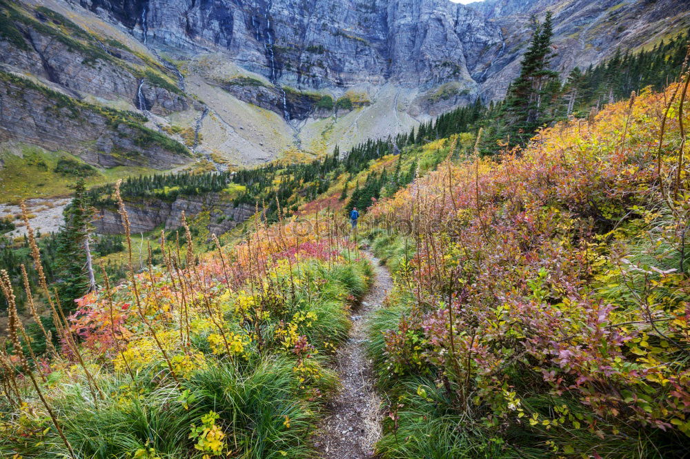 Maroon-Snowmass Wilderness in Colorado