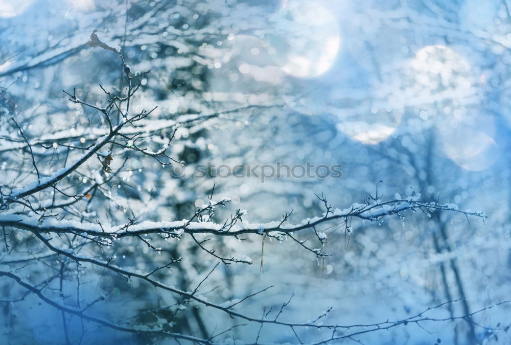 Similar – Image, Stock Photo Winter Blues II