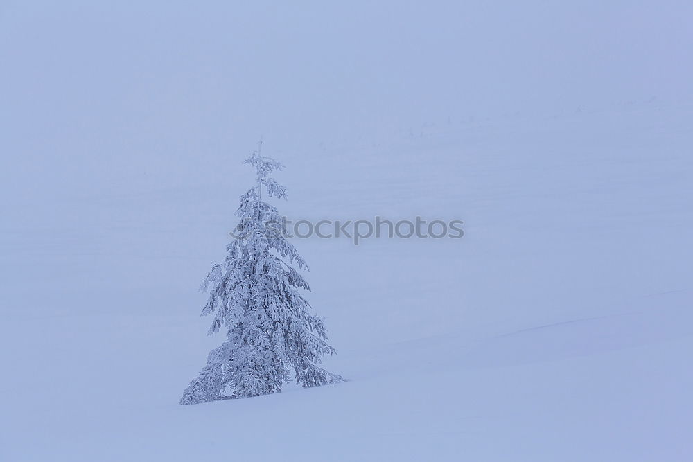 Similar – Foto Bild Nachts im Schnee #02