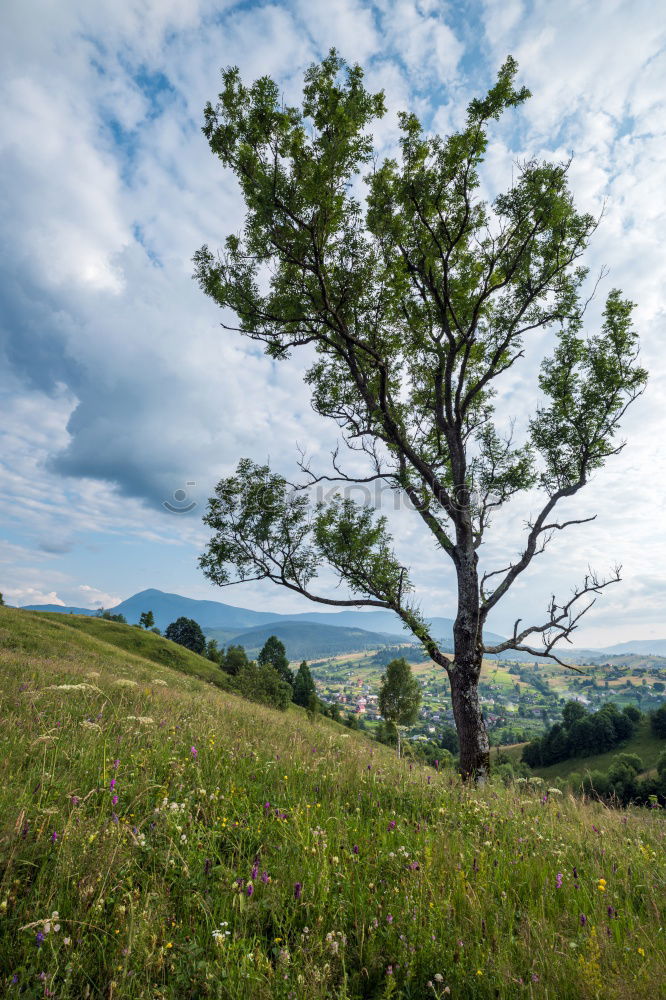 Similar – Image, Stock Photo Favorite spot!!