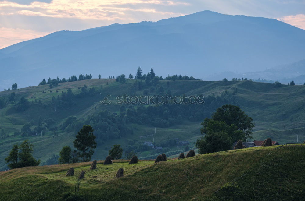 Similar – Image, Stock Photo The green contour of the earth