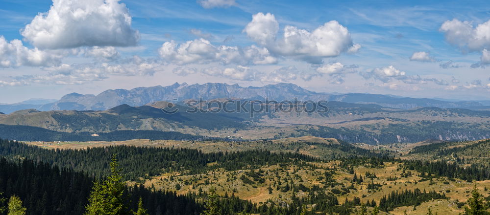 Similar – Image, Stock Photo Green pine trees in the mountains